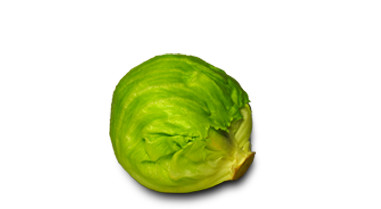 Eisbergsalat