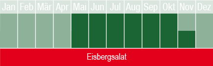 Eisbergsalat