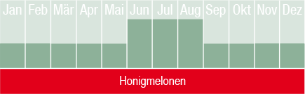 Honigmelonen