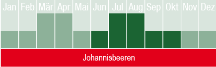 Johannisbeeren