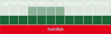 Kartoffeln