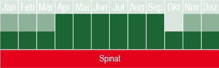 Spinat